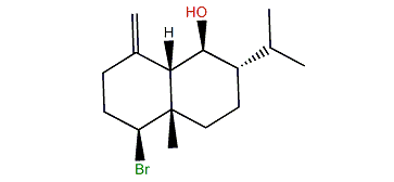 Lankalapuol B